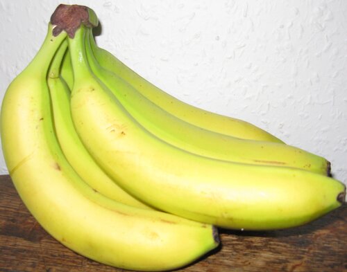 Bunch of bananasjoined at top let