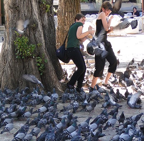Pigeons on ground in foreground, infront of two children