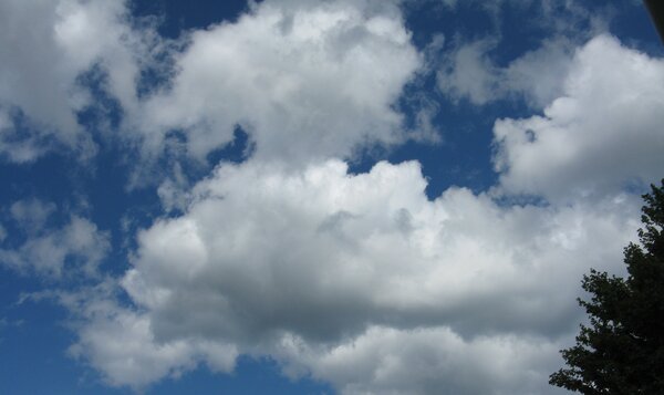 White cumulus clouds