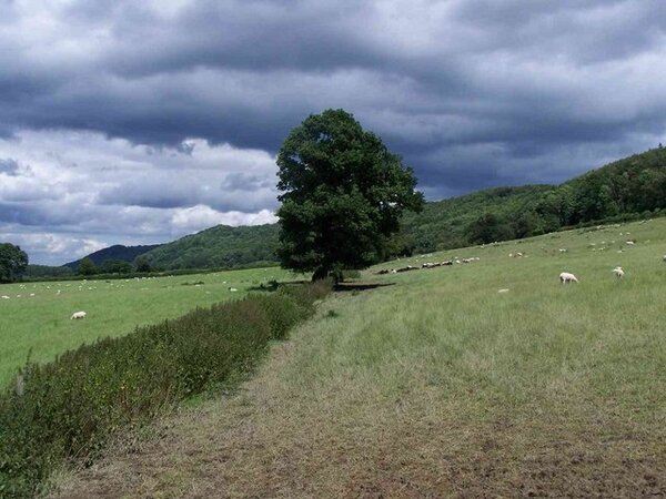 Wenlock Edge escarpment on right, fields beneath on left.