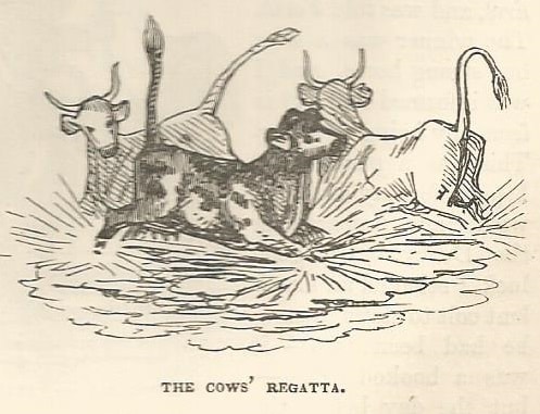 Cows splashing in water. Woodcut by Thomas Hood.